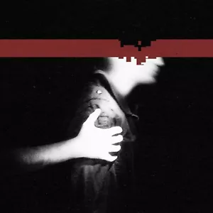NINE INCH NAILS The Slip BANNER 2x2 Ft Fabric Poster Tapestry Flag album art - Picture 1 of 3