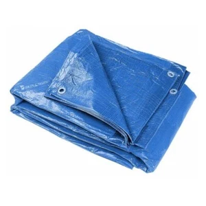 Toldo Azul De Polietileno ( distintas medidas ) - Imagen 1 de 2