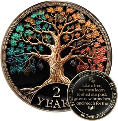 Sobriety Coin Gift Set 2 Year Tree of Life AA Chip with Capsule Stand and Card - Image 1 of 4