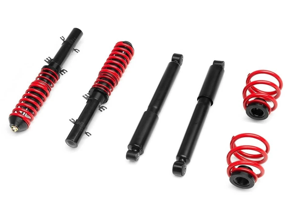 Raceland Classic Coilovers for Audi TT 8N Quattro (1998-2006) LIFETIME WARRANTY Foto 1 de 1
