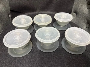 6 tazas de charco de postre gris transparente vintage TUPPERWARE #754 y tapas #733 - Imagen 1 de 5