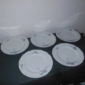 5 x Servierteller Speiseteller Teller Rosenthal Monbijou Blaue Ranke D 26 cm - Bild 1 von 6