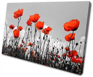 Floral Poppies Flowers SINGLE CANVAS WALL ART Picture Print VA - Picture 1 of 1