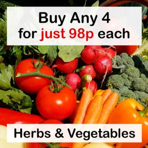 ANY 4+ FOR 98p EACH Vegetable & Herb Seeds Grow Your Own Food Indoor Outdoor Veg - Picture 1 of 29