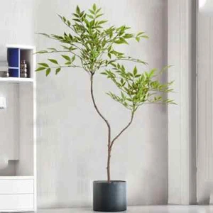 Large Artificial Plant (Bamboo Tree Branch) - 110cm (2 Forks) - Picture 1 of 5
