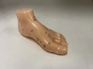 Acupuncture Foot Model (6” X 3” X 3”) - Picture 1 of 4