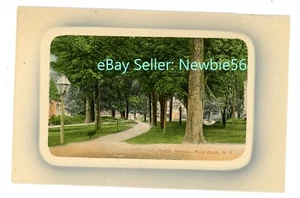 Postal Pine Bush NY - VISTA ABAJO MAPLE AVENUE - Condado de Orange - Imagen 1 de 2