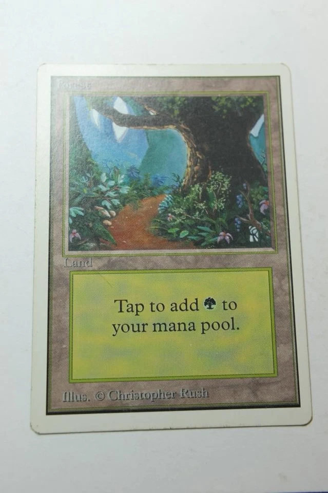 MTG Forest (B) x1- -Unlimited Edition-Mod/Heavy Play - Image 1 of 1