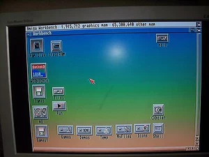 Amiga 1200 4 GB 3.1 Classic Lite/Whdload 18.5 / AGA Titles solo tarjeta CF - Imagen 1 de 3