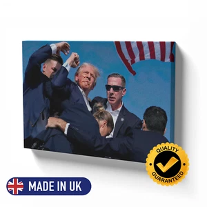 Donald Trump Gemälde Wandbild Motivierend Gerahmt Leinwand Attentat Schießerei - Bild 1 von 6
