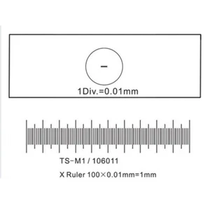 AmScope Microscopio Diapositiva de Calibración de Etapa para Cámara USB 0.01mm Micrómetro - Imagen 1 de 1
