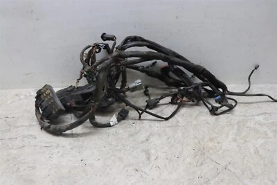 Harley Road King 2003 FLHRCI arnés de cables de motor principal telar eléctrico Foto 1 de 4