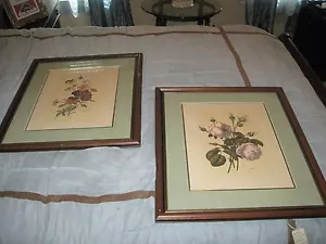 Two " M. Dovera " Vintage Botanical Signed & Framed Floral Engravings 23 x 27" - Picture 1 of 12