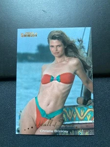 Costume da bagno illustrato sportivo 2004 Hall of Fame #HF2 Christie Brinkley - Foto 1 di 1