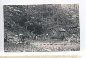 At The Springs The Shades IN Photo Postcard 6283 - Picture 1 of 2