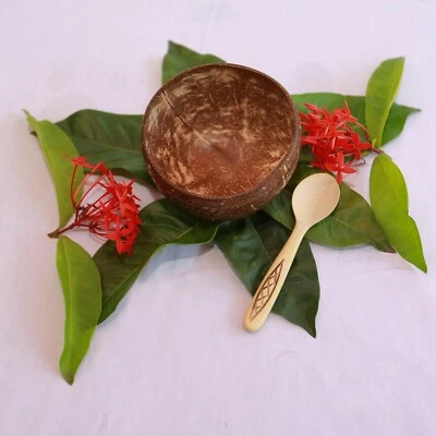 Tazón y cuchara hechos a mano con cáscara de coco sopa, comida, arroz, ensalada de frutas comedor natural Foto 1 de 4