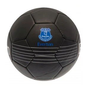 Everton FC React Skill Ball