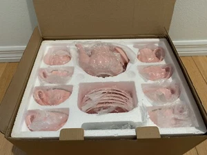 New Pink Pukka Home| Royal Style Tea Cup Set Ladies Luncheon Party Kitchen - Picture 1 of 5