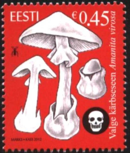 Mint  stamp Flora Mushrooms 2012  from Estonia   avdpz - Image 1 of 1