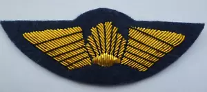 UNKNOWN CIVIL AIRLINE PILOTS WING POSSIBLY SHELL?? - Picture 1 of 1