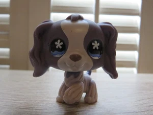Littlest Pet Shop LPS 672 COCKER SPANIEL Welpe Hund mit blauen Blumenaugen - Bild 1 von 9