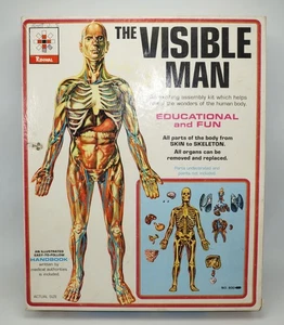 Renwal The Visible Man #800 1:5 Life Scale Skeleton w/ Box & Manual Vintage 1959 - Picture 1 of 13