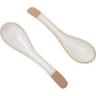 Asian Ceramic Soup Spoons - 2 Pack-