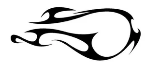 GAS TANK #GT14 DECAL MOTORCYCLE SCOOTER VINYL GRAPHIC GOLF CART TRAILER AUTO - Picture 1 of 2