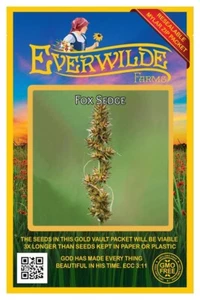 1000 Fox Sedge Native Grass Seeds - Everwilde Farms Mylar Seed Packet - Picture 1 of 3