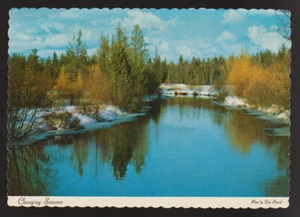 MICHIGAN MI Changing Seasons Autumn to Winter snow River CONTINENTAL Postcard - Picture 1 of 2