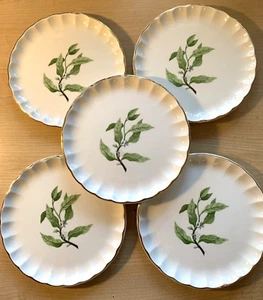 WS George Bolero B8760 Bread & Butter Plate Set-5 White w-Greenery 6.5" MCM VTG - Picture 1 of 8
