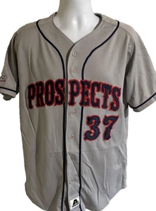 Edmonton Prospects Jersey Mens Large MILB Baseball Shirt Number 37 Ammer USA - Picture 1 of 14