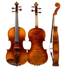 CHRISTINA Violin Set Snakewood Full Size for All Ages Handmade One-piece Back