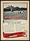 1947 HUNTER w/ Shotgun and POINTER Bird Dog Gaines Dog Food Vintage Print AD