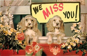 Cockerspaniel Dogs in Window puppies We Miss You Postcard - Picture 1 of 2