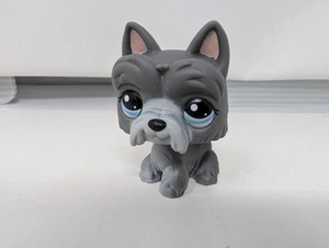 SCOTTIE DOG #1860 Autentico negozio di animali più piccoli - Hasbro LPS - Foto 1 di 5