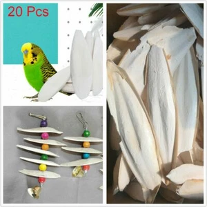 20Pcs Natural Cuttlefish Bone 7-10cm Bones Birds Tortoise Snails Chewing Calcium - Picture 1 of 8