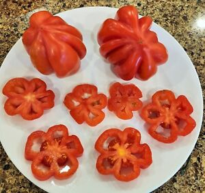 Gezahnte tomato, 15+ seeds, COMBINED SHIPPING