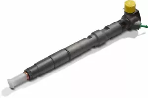 New A6650170221 R04401D 1p Delphi CRDI Fuel Diesel Injector for Ssangyong - Picture 1 of 3