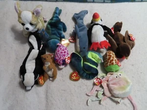 Qty 10 Beanie Babies and One Webkinz Chihuahua - Picture 1 of 1