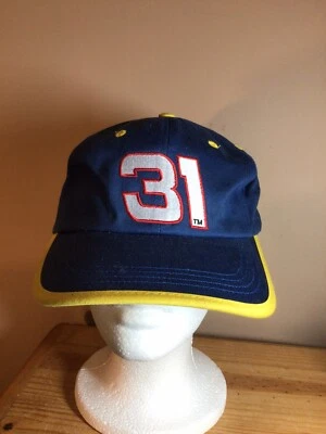 Gorra de béisbol Mike Skinner #31 Nascar vista de competidores bordada carreras Foto 1 de 4