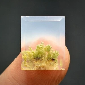 Tiny Scenic Moss Agate Cabochon 13x11x4mm High Quality 7 ct - Picture 1 of 6