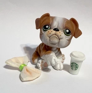 Littlest Pet Shop No#  Bulldog - Picture 1 of 3
