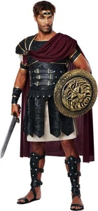 California Costume Roman Gladiator Adult Men Outfit Medieval 01258 - Picture 1 of 2
