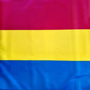 Flagge, Fahne: Pansexuell, LSBTIQ*, Pride, CSD, 150 x 90 cm - Bild 1 von 5