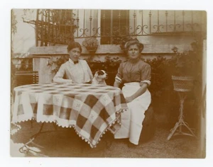 PHOTO SNAPSHOT c.1916, au jardin table 2 femmes chien dog servante nappe - Picture 1 of 2