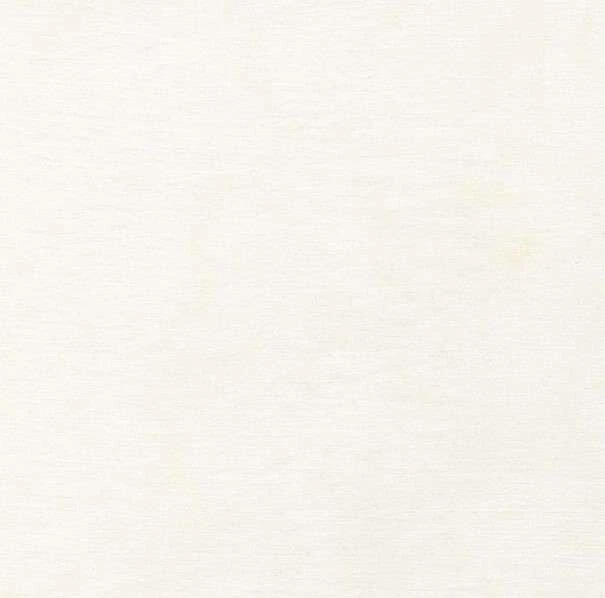 Timeless Treasures - Licuadoras Java - Batik Tonal - Pergamino Foto 1 de 1