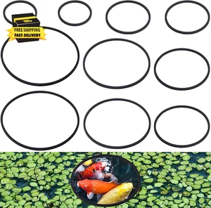 Juego de 10 anillos de alimentación para peces, corral flotante para plantas de acuario, alimentador redondo para peces - Imagen 1 de 6