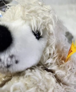 STEIFF PLUSH POODLE MADE FOR FAO SCHWARTZ With Ear Button No odors ! - Picture 1 of 8