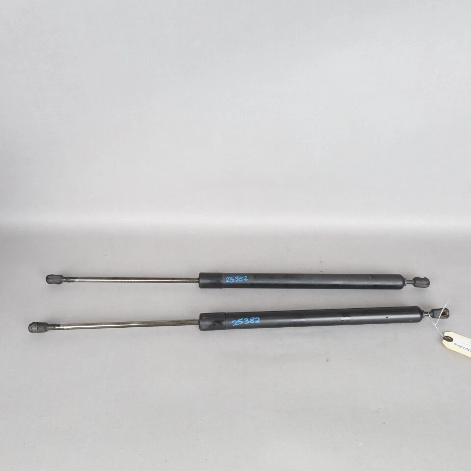 1999-2003 Volkswagen Eurovan Trunk Hatch Strut Shocks Pair 7D0829331F OEM Used Foto 1 de 4